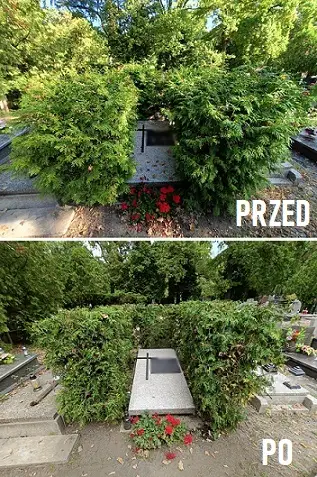 Przycinanie krzewów cmentarz Wrocław